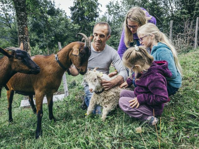 Gite a la ferme